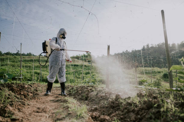 Best Best Pest Control Companies  in Buchanan, GA