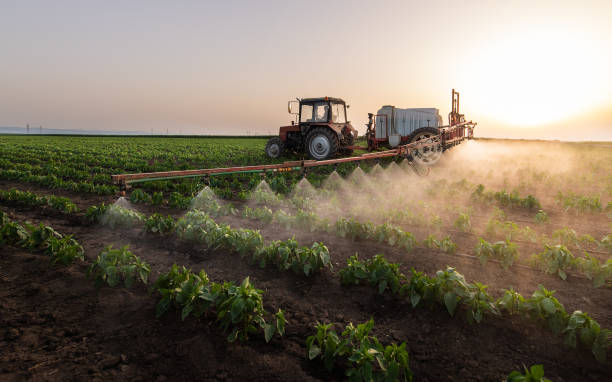 Best Mosquito Control Services  in Buchanan, GA
