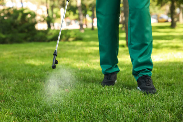 Best Bed Bug Extermination  in Buchanan, GA