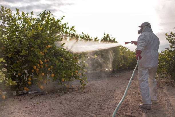 Best Residential Pest Control  in Buchanan, GA