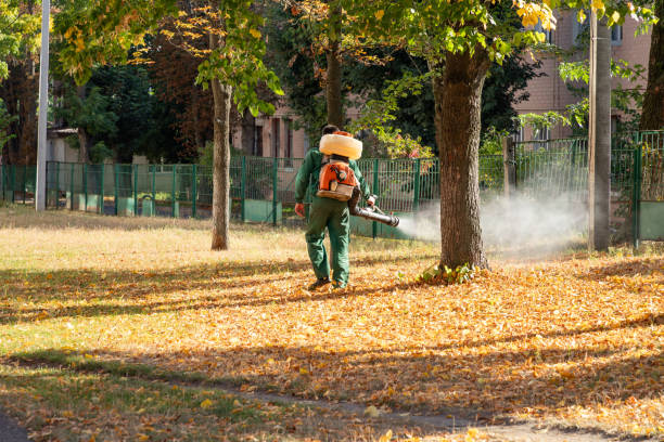 Best Wildlife Control Services  in Buchanan, GA