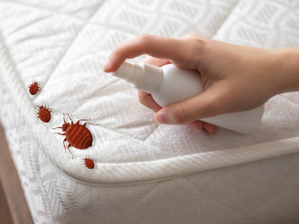 Best Pest Inspection Near Me  in Buchanan, GA