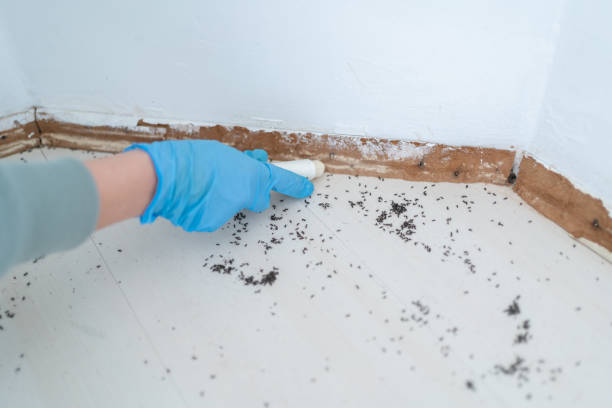 Best Pest Control for Businesses  in Buchanan, GA