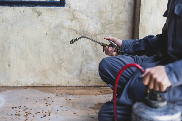 Best Pest Removal Services  in Buchanan, GA